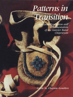 cover image of Patterns in Transition